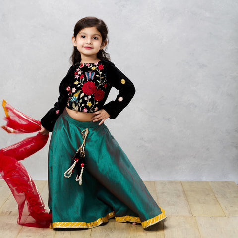 Pre-Order: Black Velvet Embroidered Choli with Raw Silk Ghaghra and Tassels