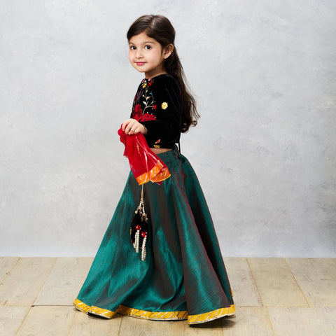 Pre-Order: Black Velvet Embroidered Choli with Raw Silk Ghaghra and Tassels