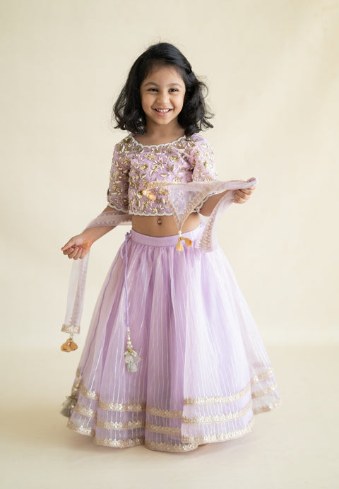 Pre-Order: Exquisitely Hand Embroidered Lehenga Set