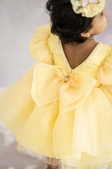 Pre-Order: Puffy Textured Shimmer Organza Dress with Golden Butterflies