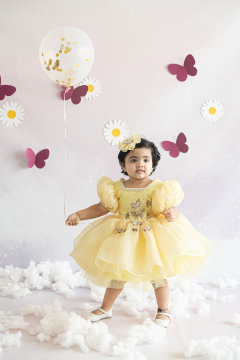 Pre-Order: Puffy Textured Shimmer Organza Dress with Golden Butterflies
