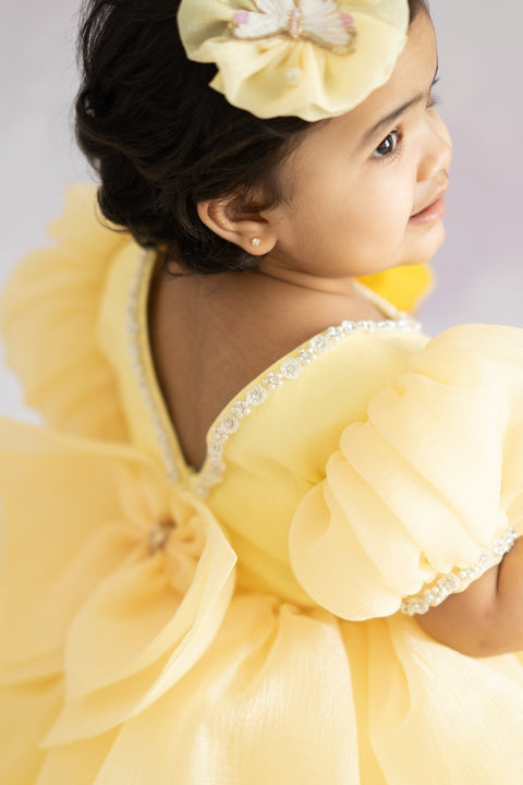 Pre-Order: Puffy Textured Shimmer Organza Dress with Golden Butterflies
