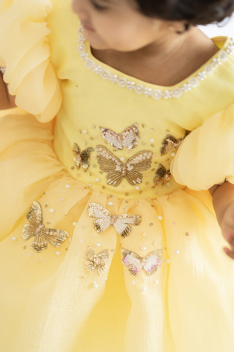 Pre-Order: Puffy Textured Shimmer Organza Dress with Golden Butterflies