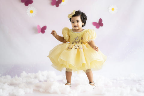 Pre-Order: Puffy Textured Shimmer Organza Dress with Golden Butterflies