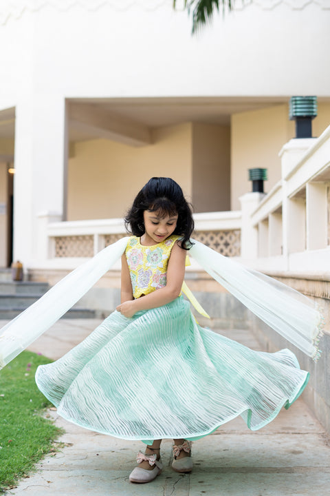 Pre-Order: Yellow and Mint Green Lehenga Set