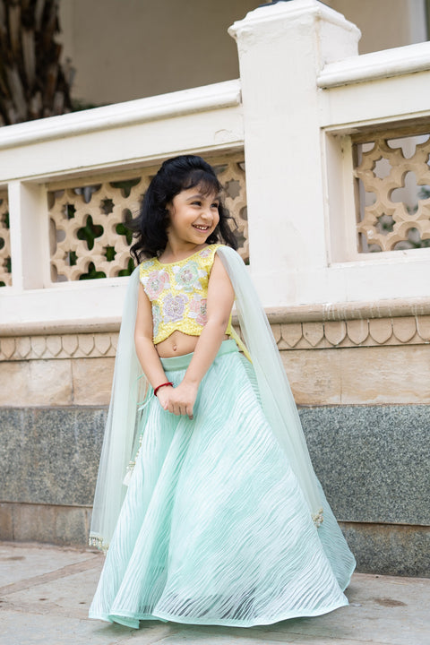 Pre-Order: Yellow and Mint Green Lehenga Set