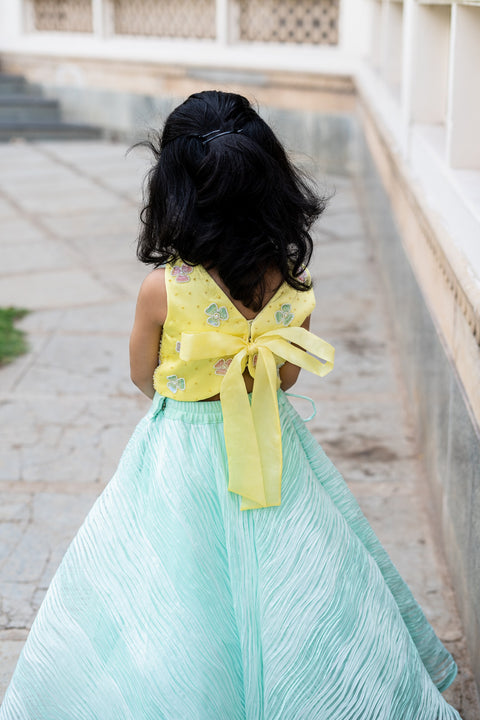 Pre-Order: Yellow and Mint Green Lehenga Set