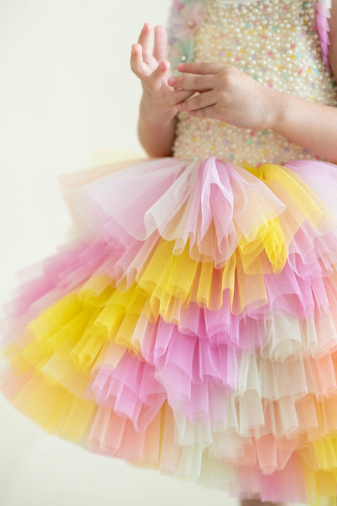Pre-Order: Layered Colourful Tulle Dress