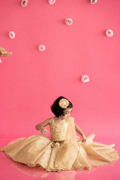Pre-Order: Golden Lehenga Set