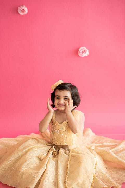 Pre-Order: Golden Lehenga Set