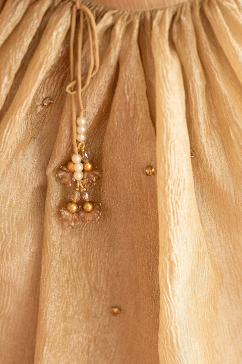 Pre-Order: Golden Lehenga Set