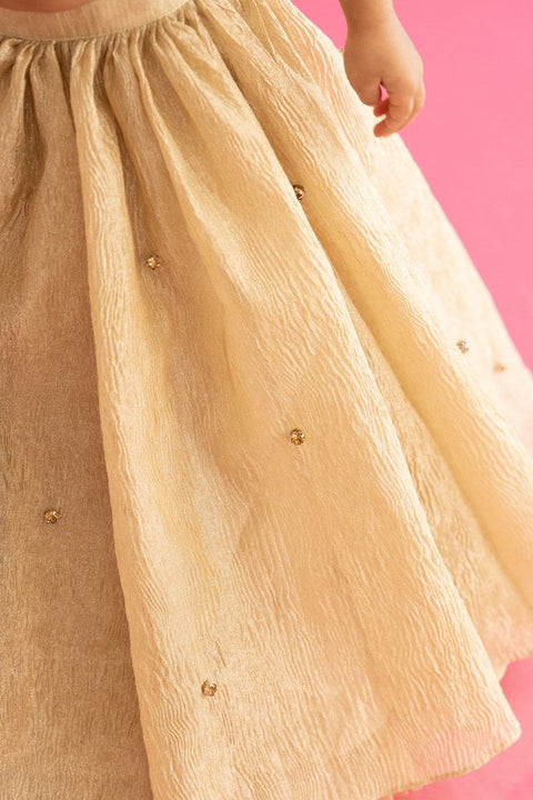 Pre-Order: Golden Lehenga Set