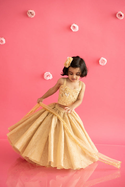 Pre-Order: Golden Lehenga Set