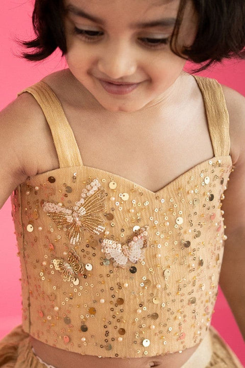 Pre-Order: Golden Lehenga Set