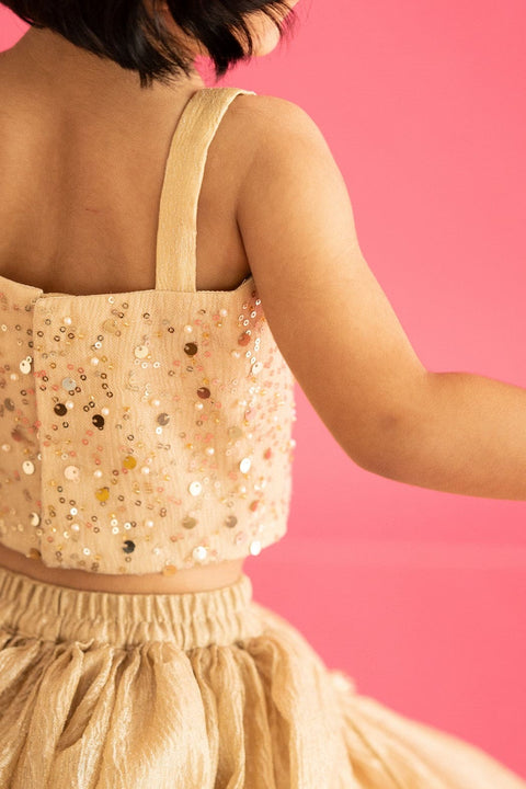 Pre-Order: Golden Lehenga Set