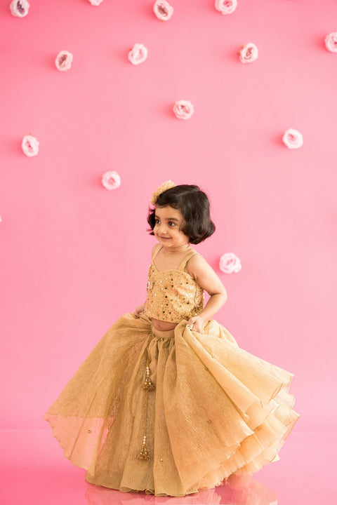 Pre-Order: Golden Lehenga Set