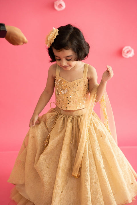 Pre-Order: Golden Lehenga Set