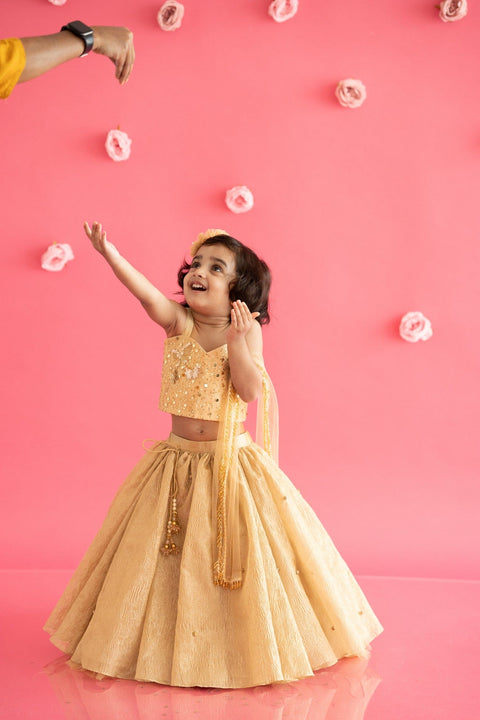 Pre-Order: Golden Lehenga Set