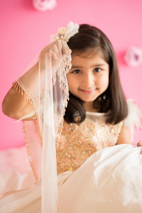 Pre-Order: Box Pleated Lehenga Set