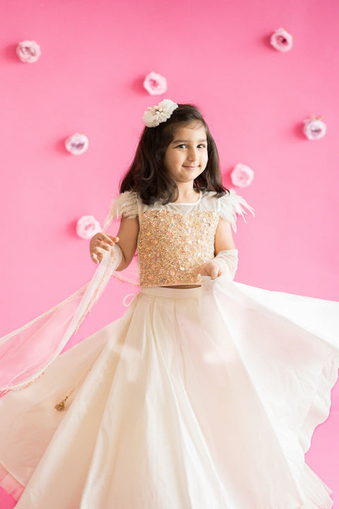 Pre-Order: Box Pleated Lehenga Set