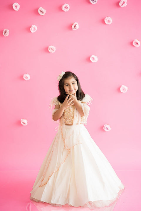 Pre-Order: Box Pleated Lehenga Set