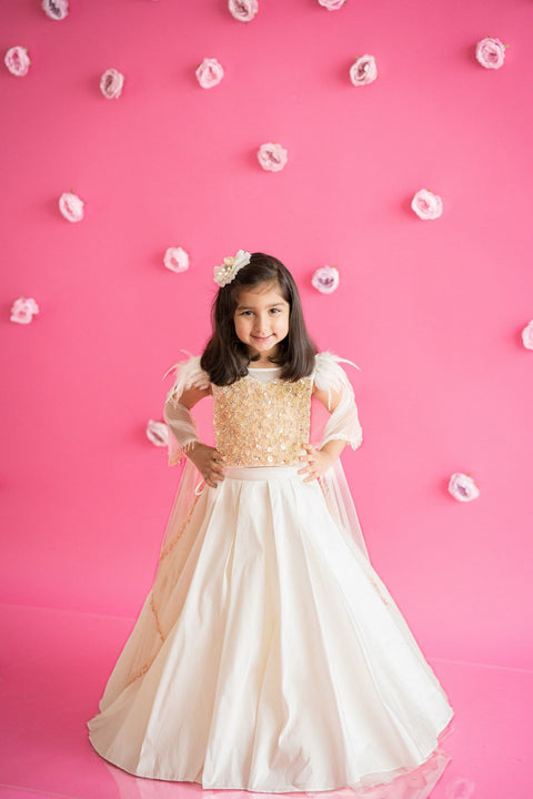 Pre-Order: Box Pleated Lehenga Set