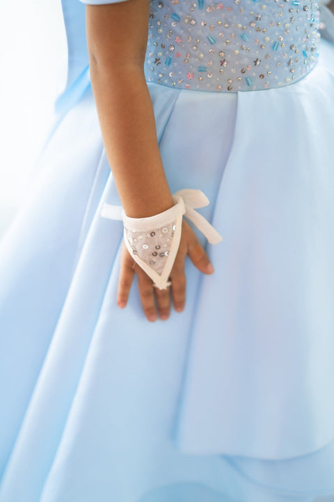 Pre-Order: Frozen Gown