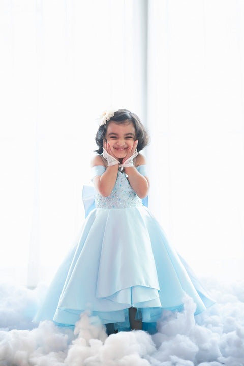 Pre-Order: Frozen Gown