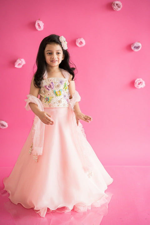 Pre-Order: Pink Organza lehenga with Butterfly Top