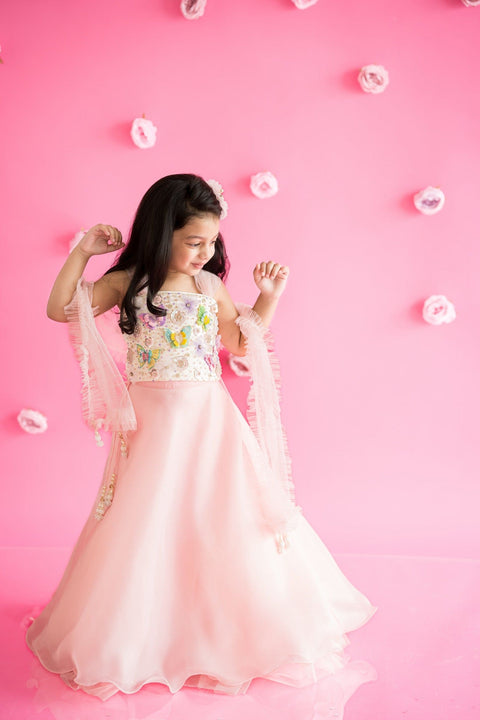 Pre-Order: Pink Organza lehenga with Butterfly Top