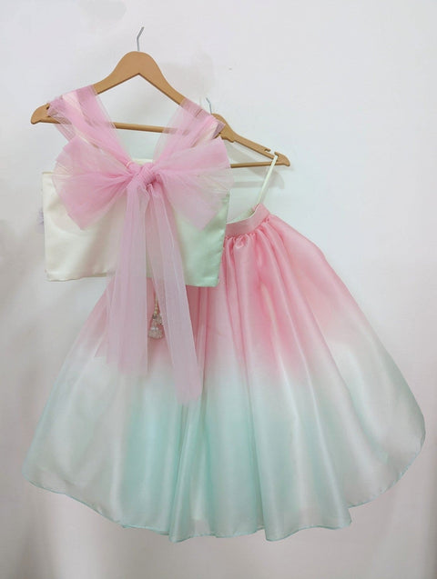 Pre-Order: Ombre Lehenga with Butterfly Top