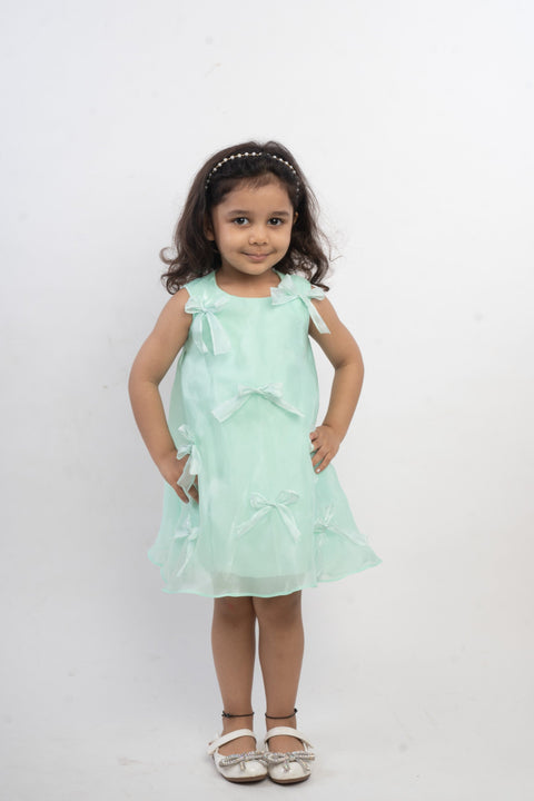 Pre-Order: Sea Green Organza Bow Dress