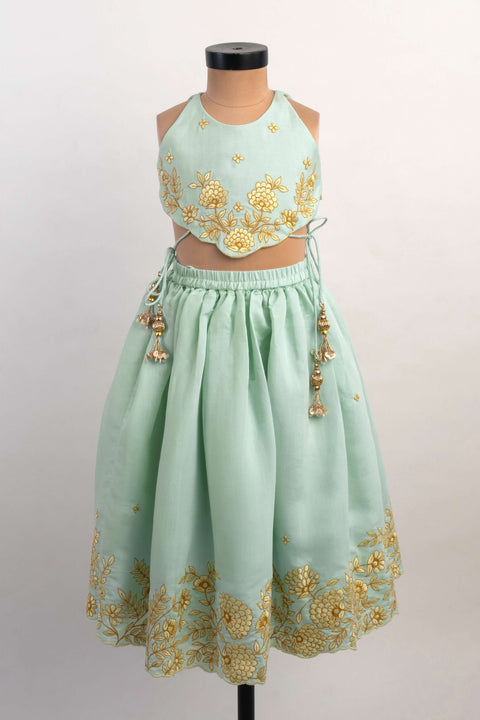 Pre-Order: Blue Thread Embroidery Ghagra