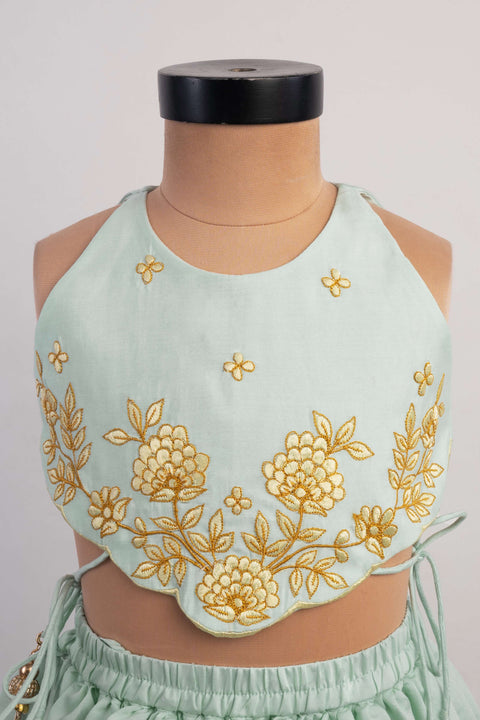 Pre-Order: Blue Thread Embroidery Ghagra