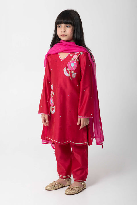 Pre-Order: CHERRY COLOUR ETHNIC SUIT WITH VERY ATTRACTIVE EMBROIDERY WITH MATCHING PANTS AND CONTRAST DUPATA