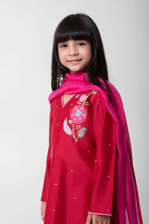 Pre-Order: CHERRY COLOUR ETHNIC SUIT WITH VERY ATTRACTIVE EMBROIDERY WITH MATCHING PANTS AND CONTRAST DUPATA