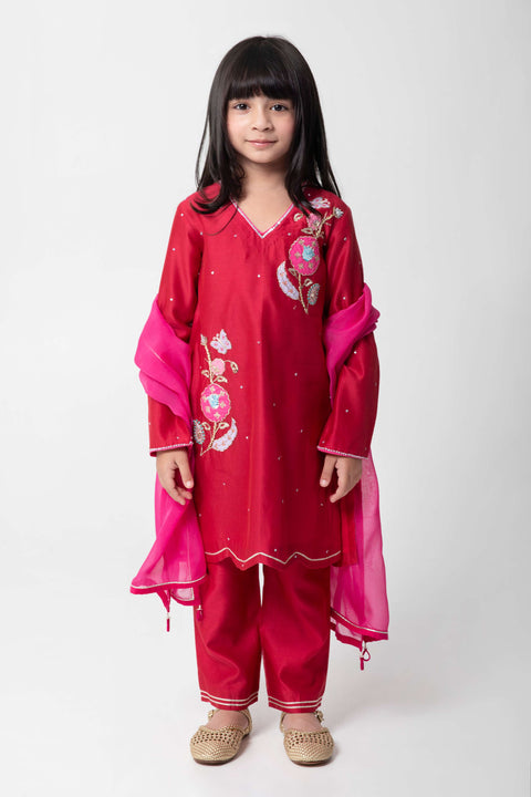 Pre-Order: CHERRY COLOUR ETHNIC SUIT WITH VERY ATTRACTIVE EMBROIDERY WITH MATCHING PANTS AND CONTRAST DUPATA