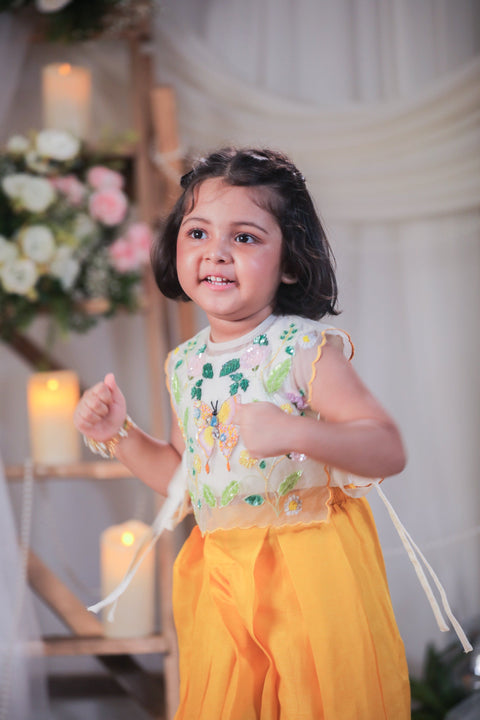 Pre-Order: Butterfly Cape Set