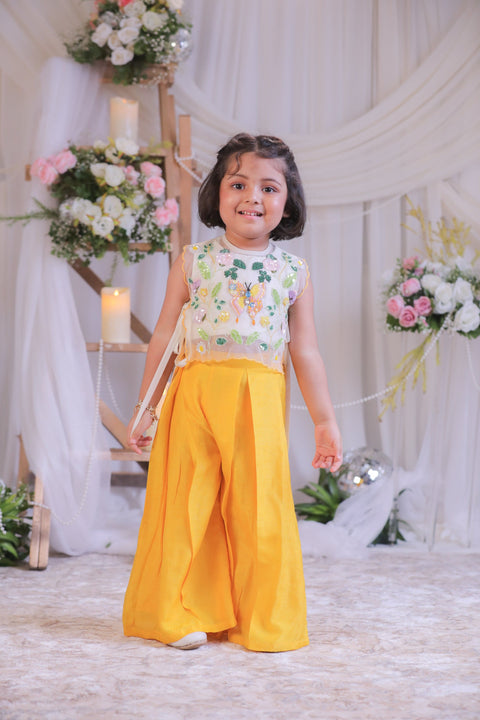 Pre-Order: Butterfly Cape Set