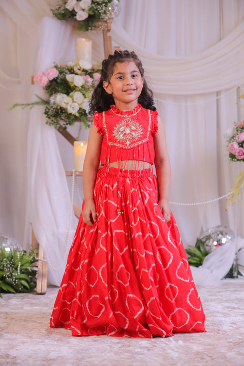 Pre-Order: Red Bandhej Emb Ghagra Set