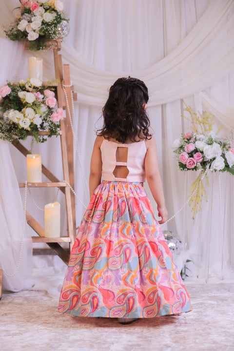 Pre-Order: Pasiley Mirror Ghagra