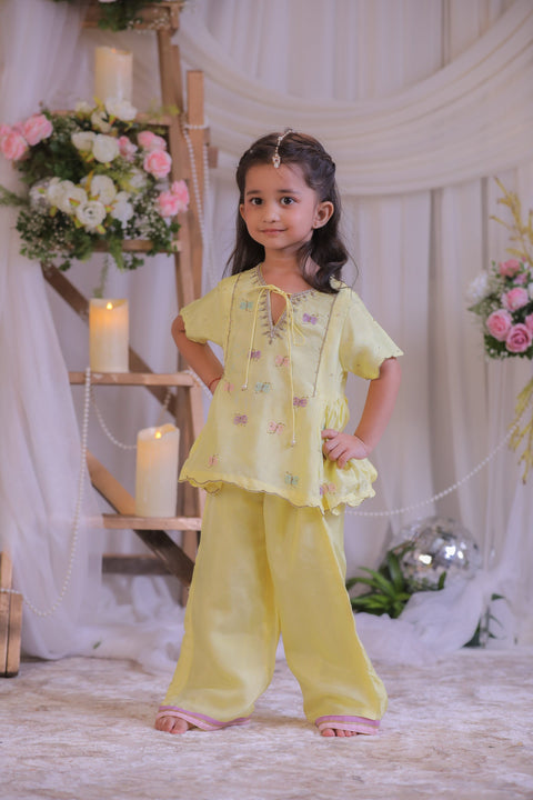 Pre-Order: Damru Emb Palazzo Set