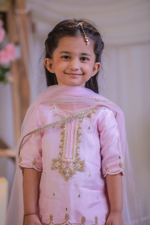 Pre-Order: Pink Pearl Emb Palazzo Set