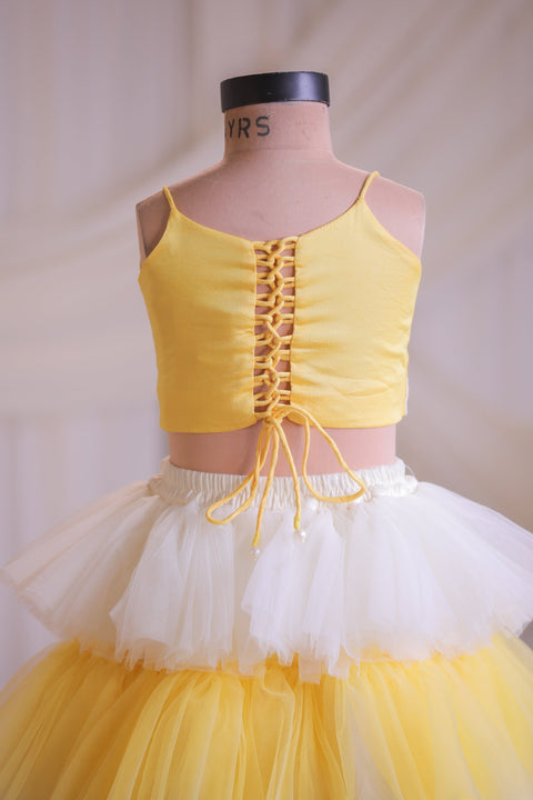 Pre-Order: Butterfly Frill Ghagra