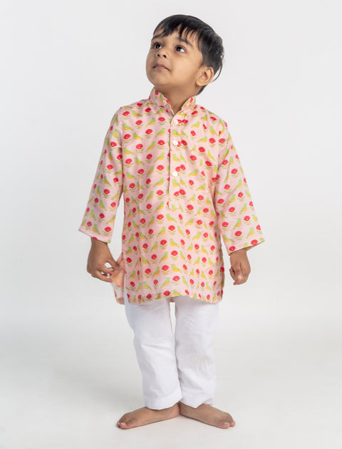 Pre-Order: Bird Jaal Printed Kurta