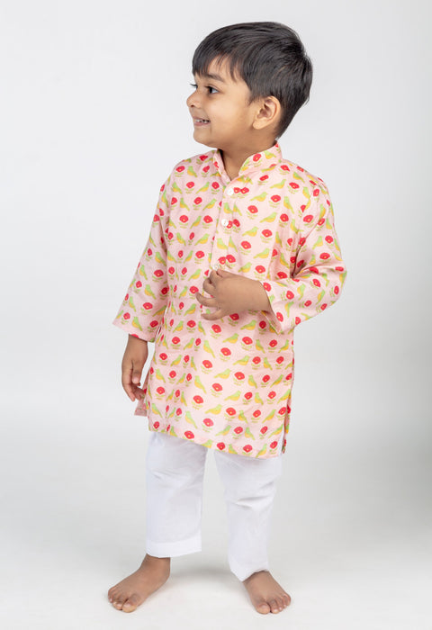 Pre-Order: Bird Jaal Printed Kurta