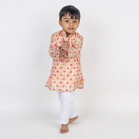 Pre-Order: Bird Jaal Printed Kurta