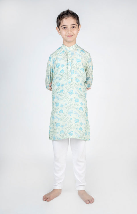 Pre-Order: Dragon Fly Green Jaal Printed Kurta