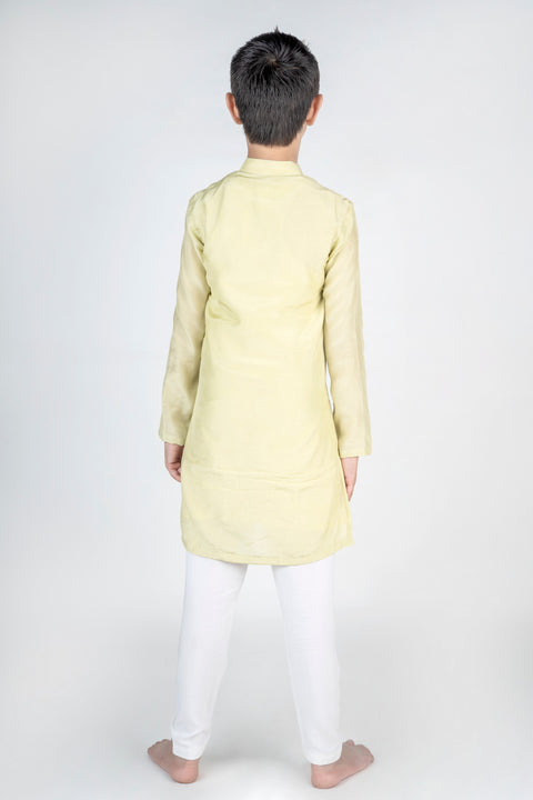 Pre-Order: Dragon Fly Buta Embroidered Kurta