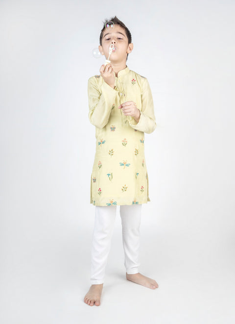 Pre-Order: Dragon Fly Buta Embroidered Kurta